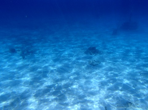 海の中イメージ